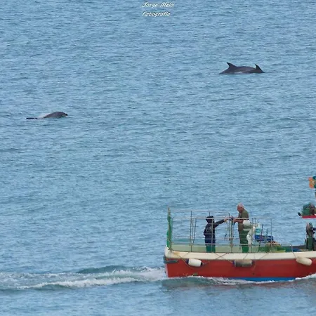 Casa Da Em Marina Park Lejlighed Lagos