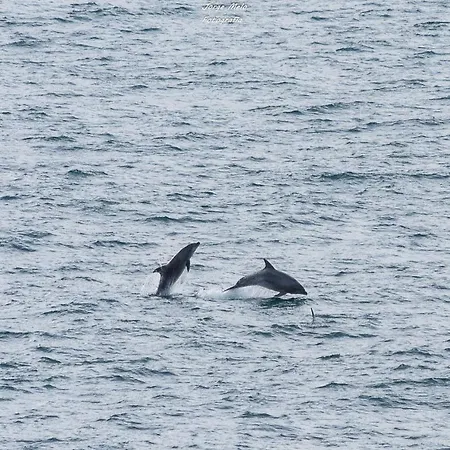 Casa Da Em Marina Park