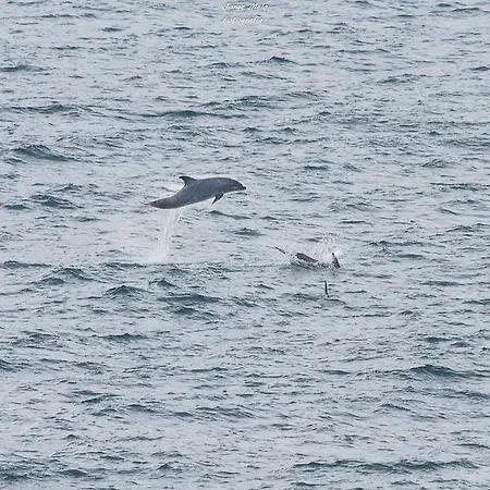 Casa Da Em Marina Park * Lagos